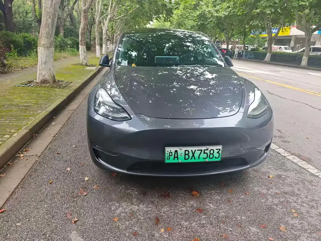 Tesla Model Y — фото 6