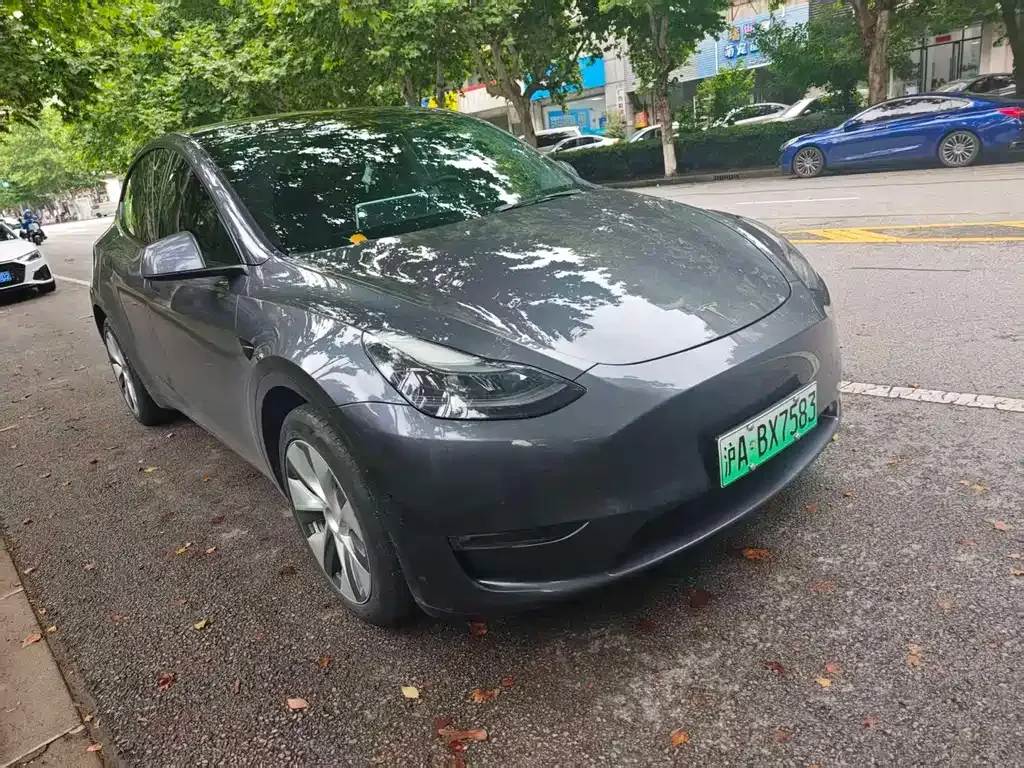 Tesla Model Y — фото 3