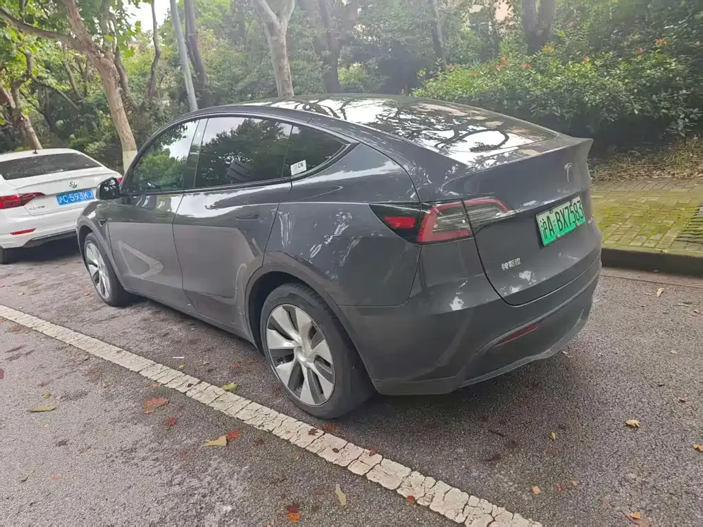 Tesla Model Y — фото 9