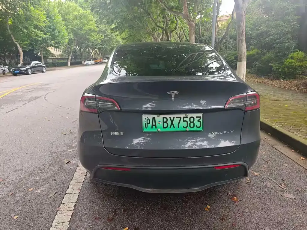 Tesla Model Y — фото 5