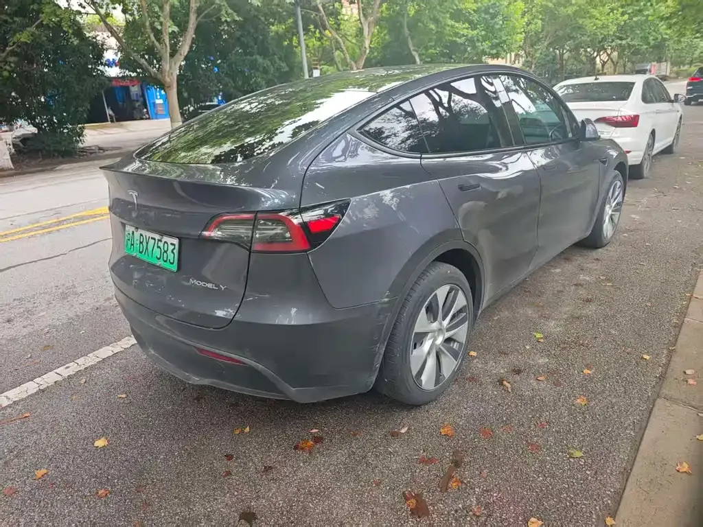 Tesla Model Y — фото 8