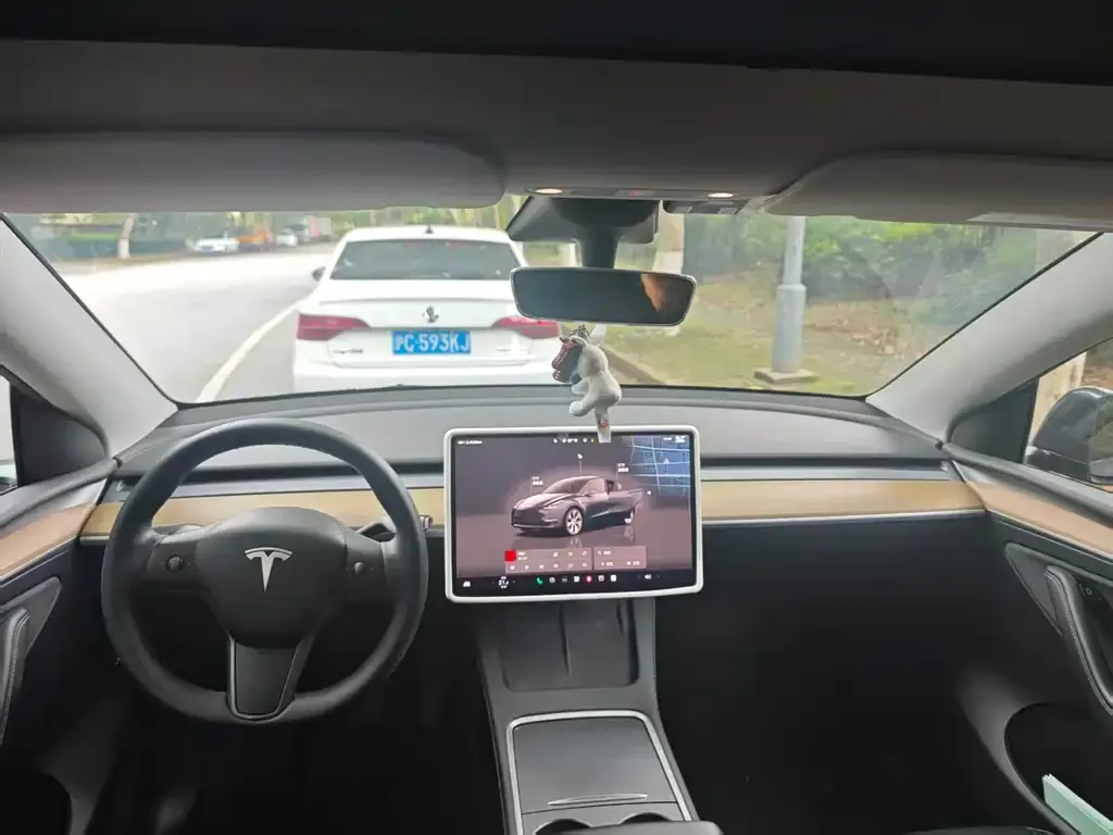 Tesla Model Y — фото 7