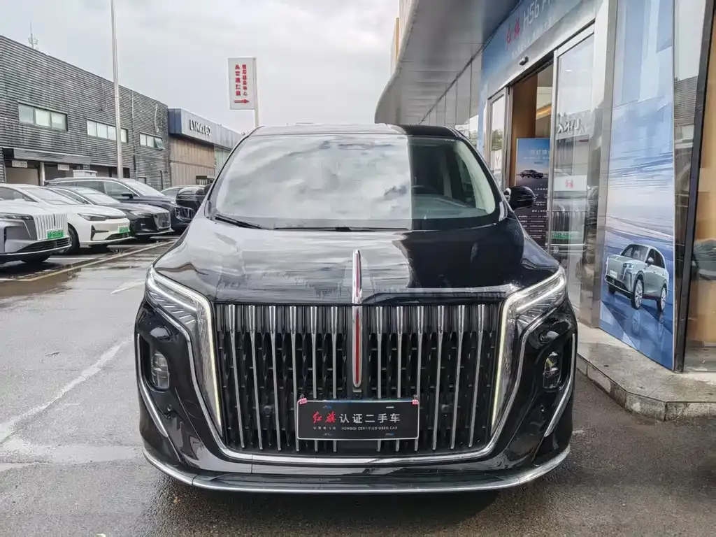 Hongqi HQ9 2023 из CN, фото 8