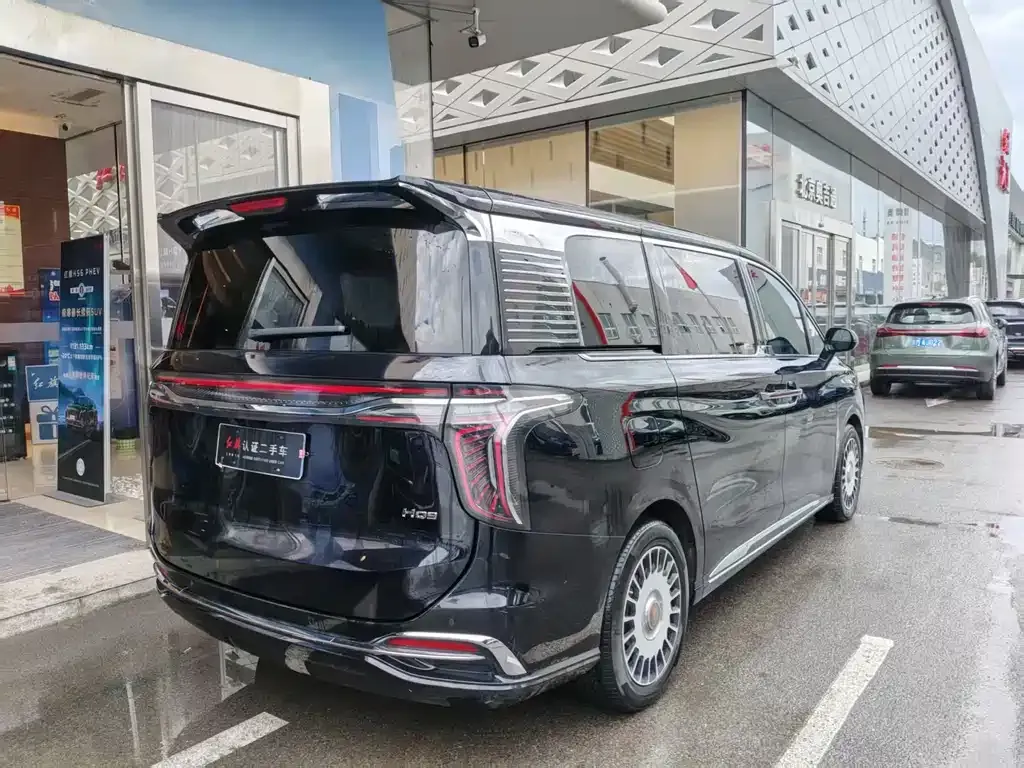 Hongqi HQ9 2023 из CN, фото 10