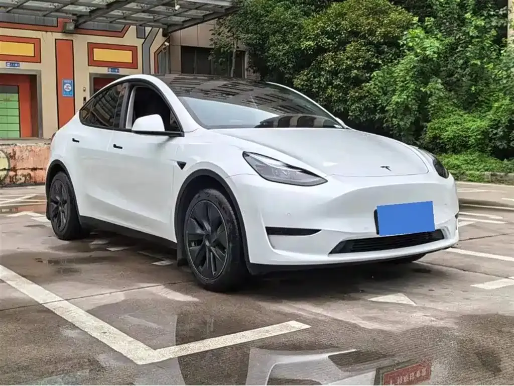 Tesla Model Y — фото 10
