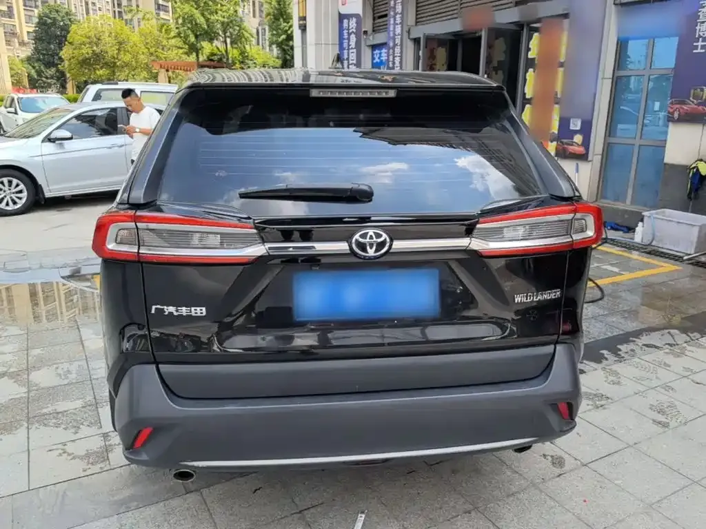 Toyota Wildlander 2024 из CN, фото 8