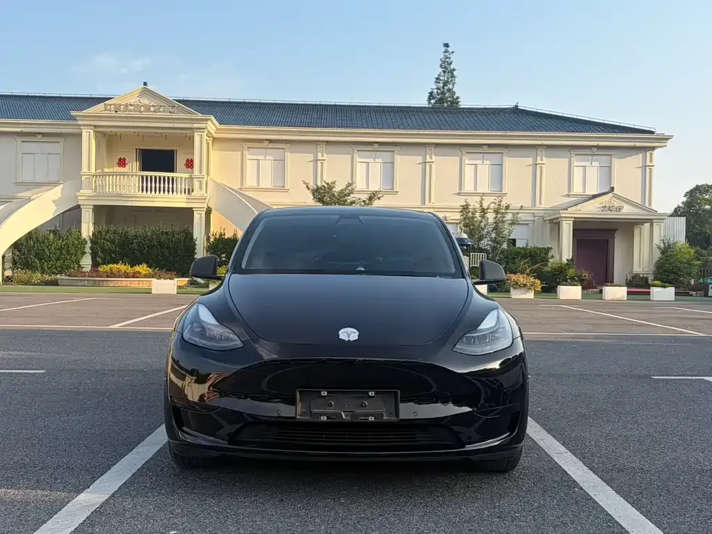 Tesla Model Y — фото 9