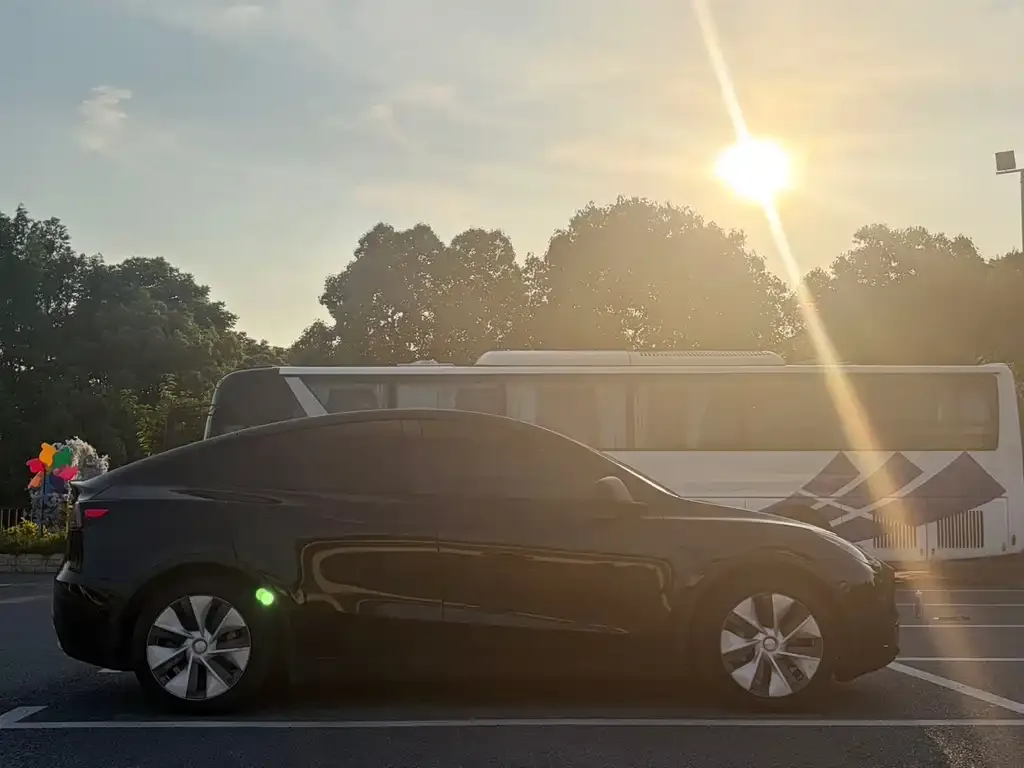Tesla Model Y — фото 10