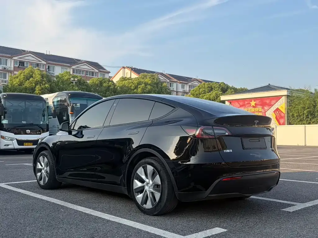 Tesla Model Y — фото 8