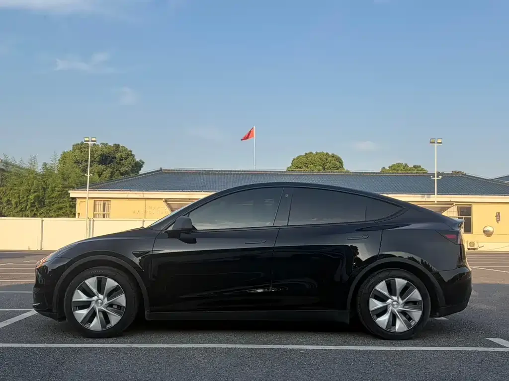 Tesla Model Y — фото 2