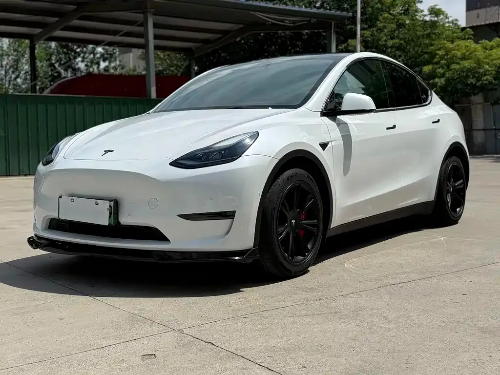Tesla Model Y — фото 1