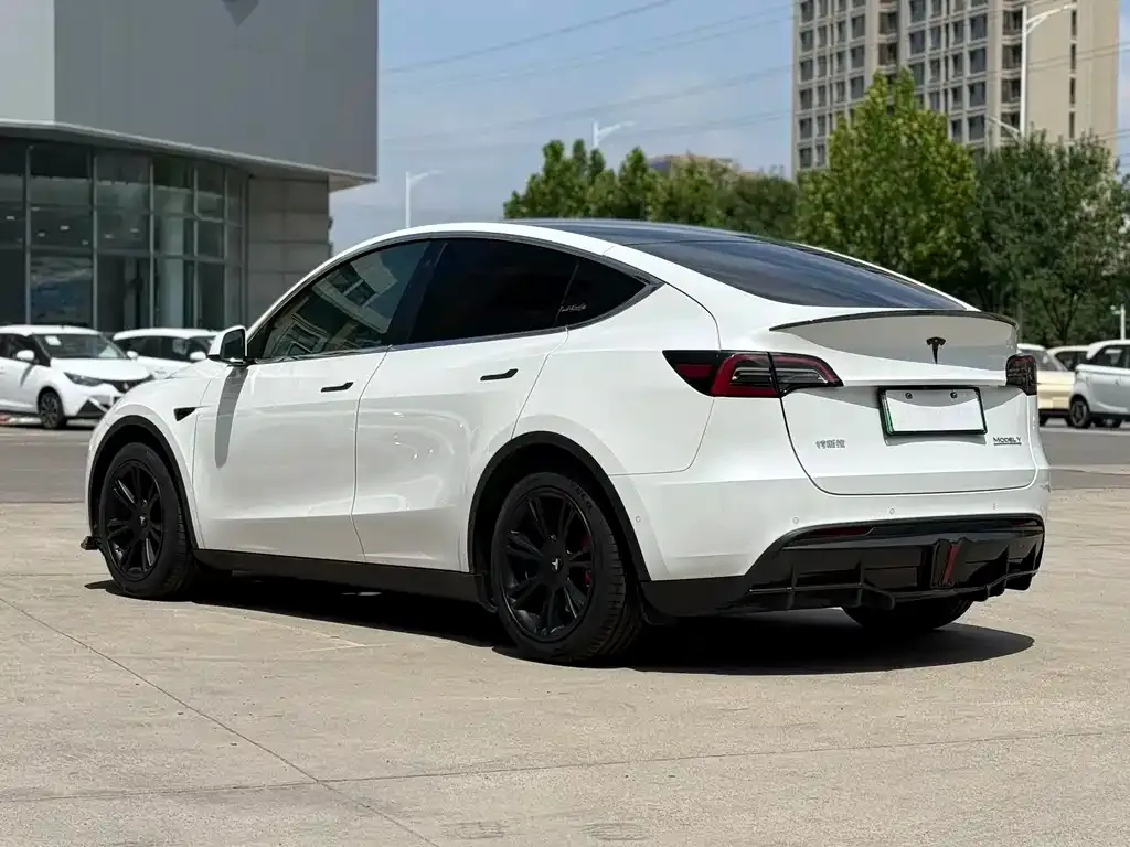 Tesla Model Y — фото 8