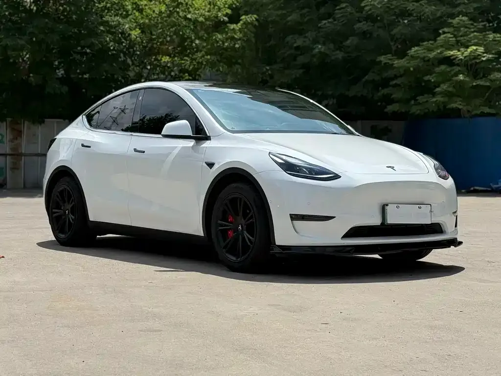 Tesla Model Y — фото 10