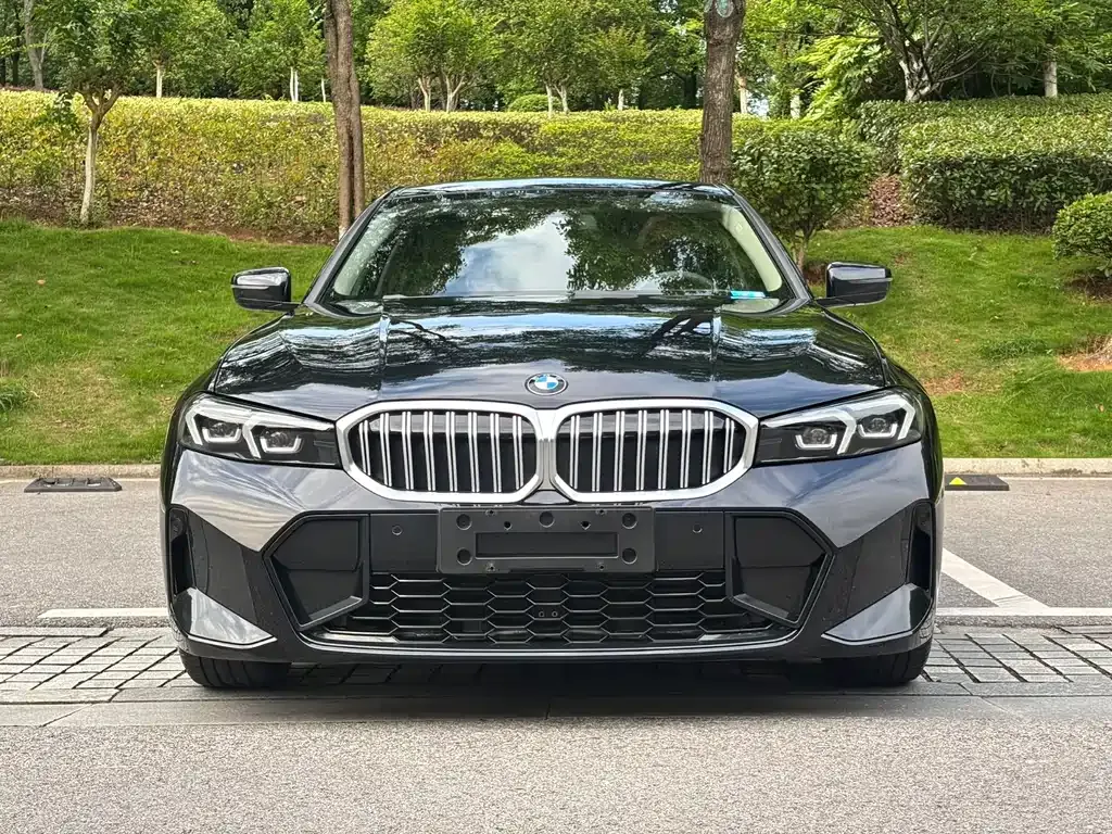 BMW 3 Series 2022 из CN, фото 6