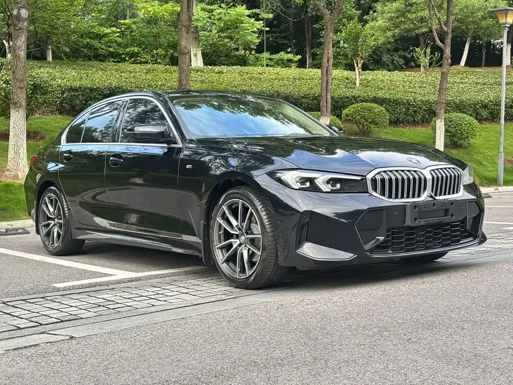 BMW 3 Series 2022 из CN, фото 7