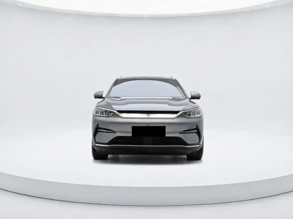 BYD PLUS New Energy — фото 2