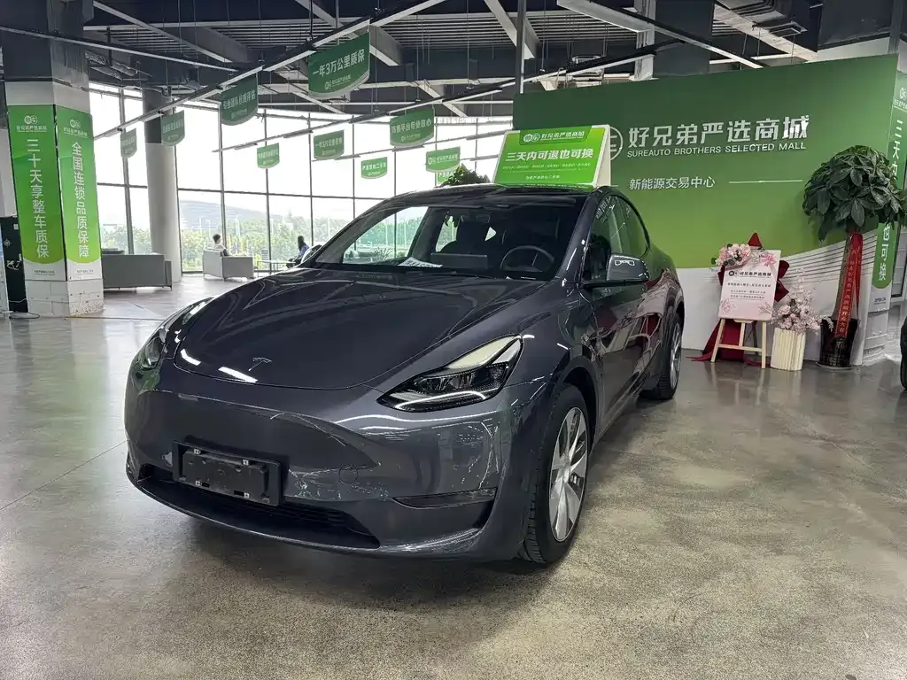 Tesla Model Y — фото 1