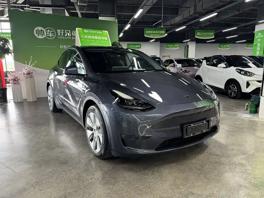 Tesla Model Y — фото 10