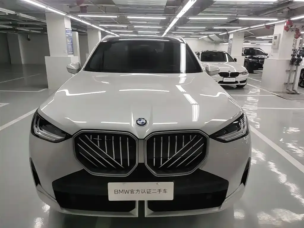 BMW X3 2025 из CN, фото 4