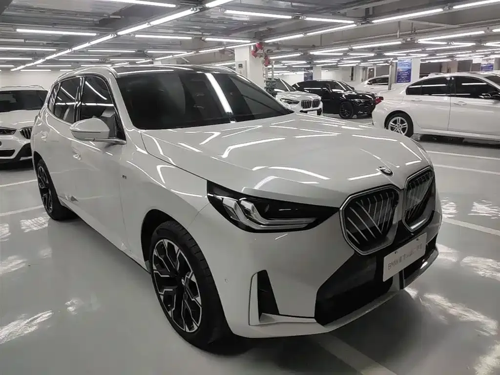 BMW X3 2025 из CN, фото 6