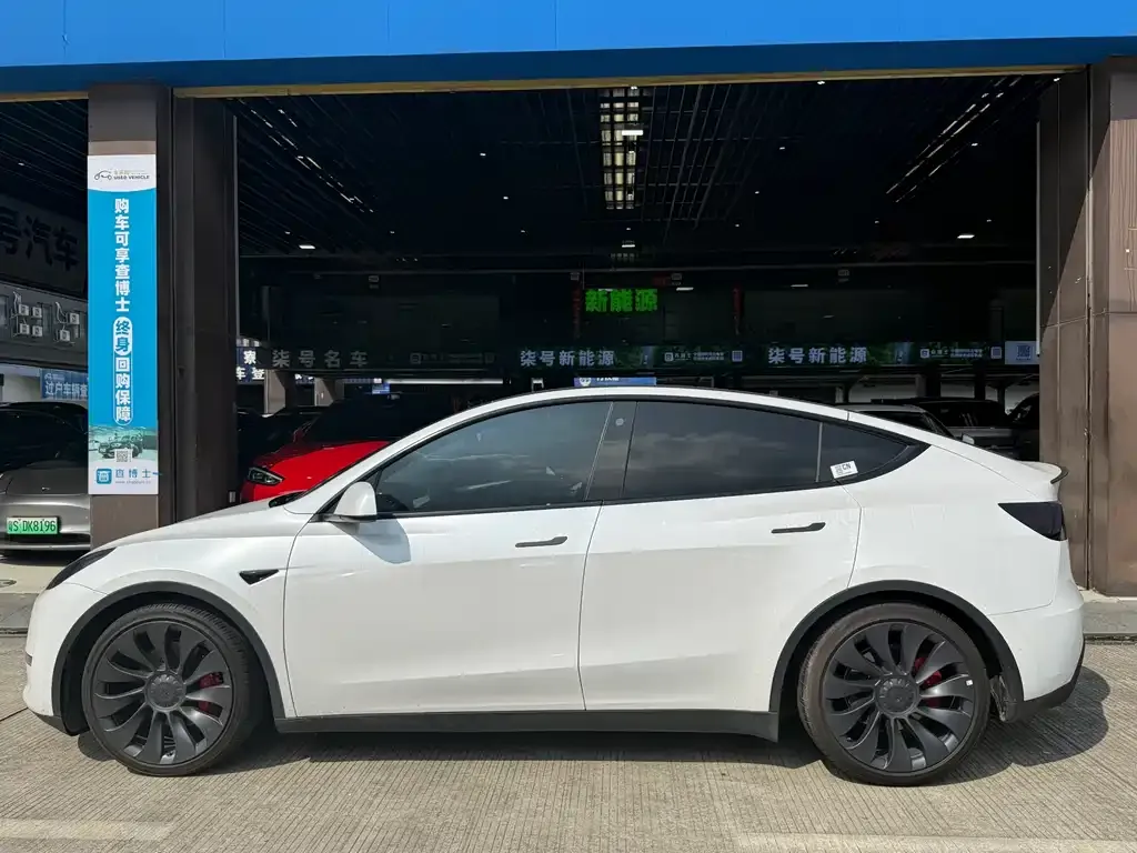 Tesla Model Y — фото 6