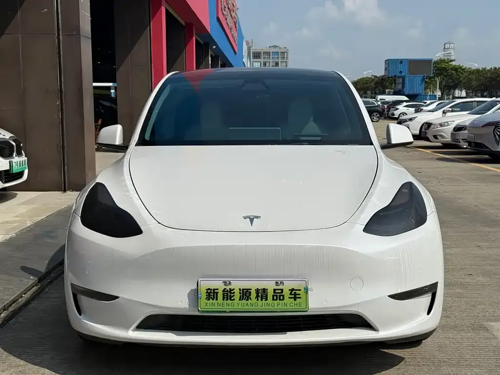 Tesla Model Y — фото 7