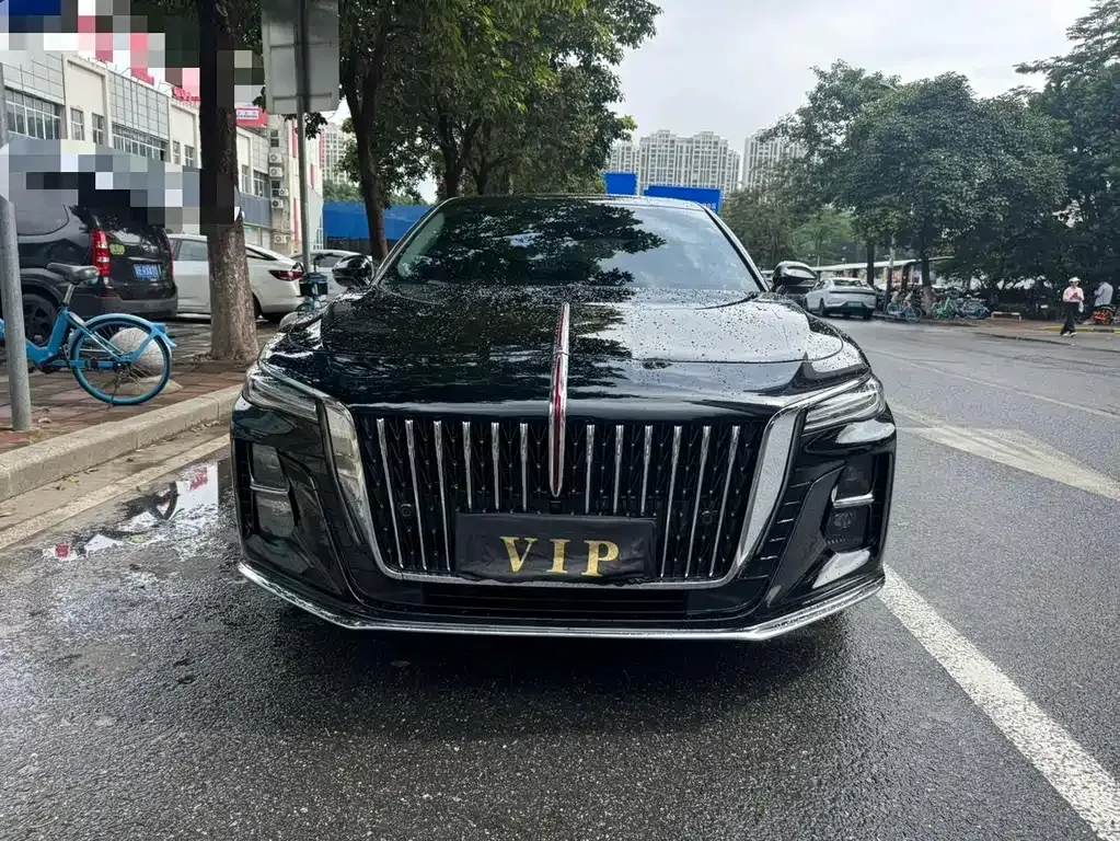 Hongqi H5 2024 из CN, фото 6