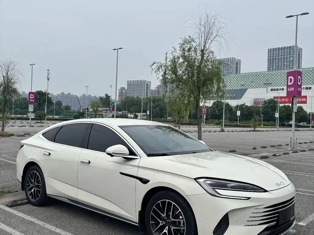 BYD Seal 07 DM-i 2025 из CN, фото 9