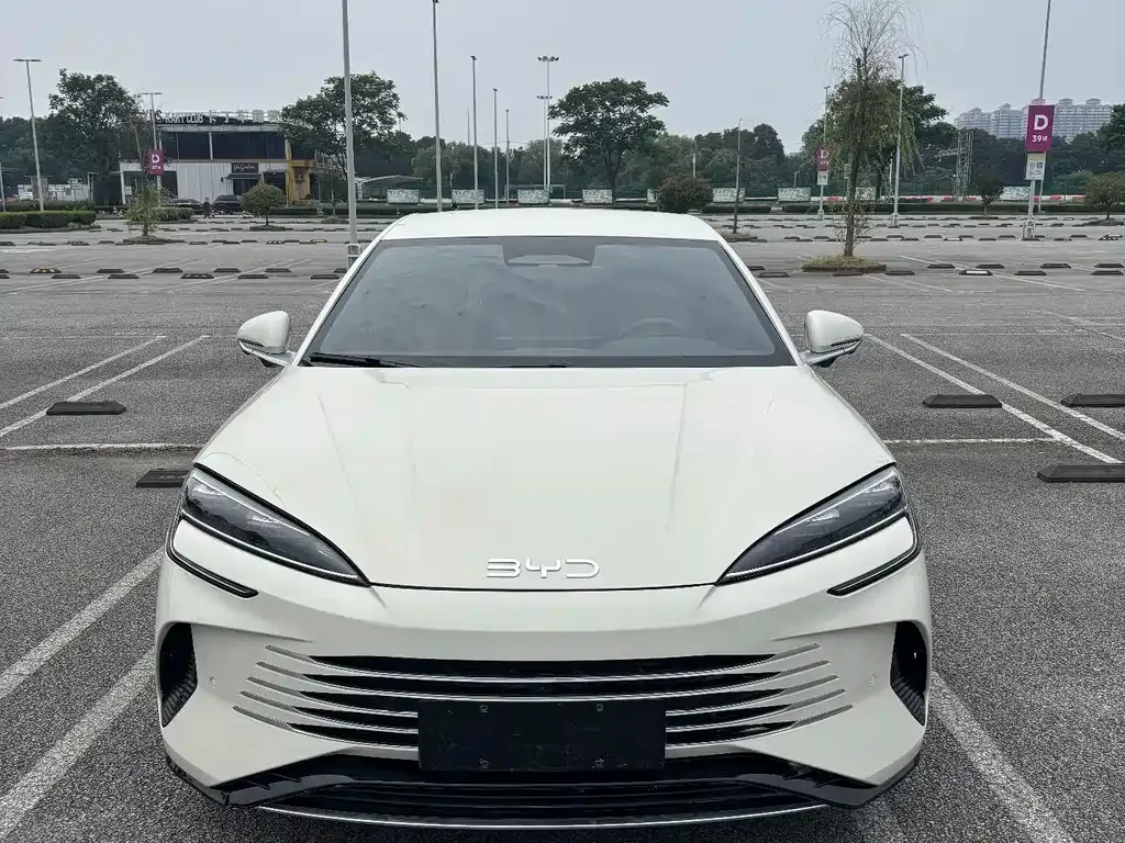 BYD Seal 07 DM-i 2025 из CN, фото 10