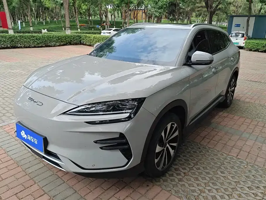 BYD PLUS New Energy — фото 1
