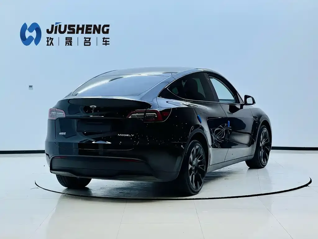 Tesla Model Y — фото 3