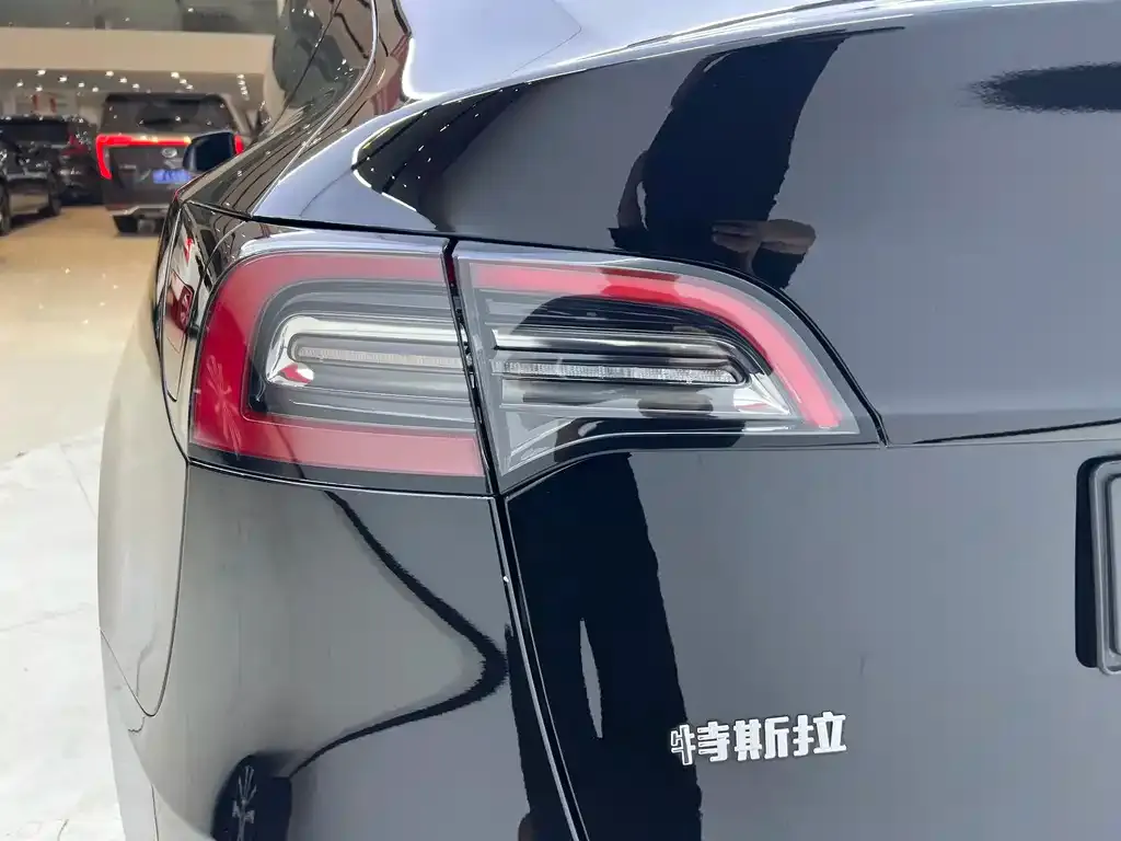 Tesla Model Y — фото 8