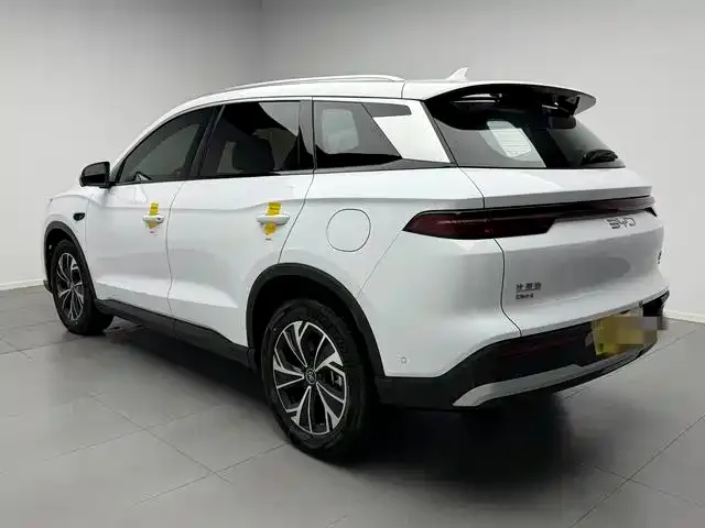 BYD Pro New Energy — фото 4