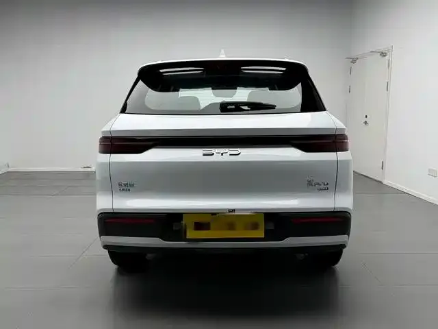 BYD Pro New Energy — фото 5