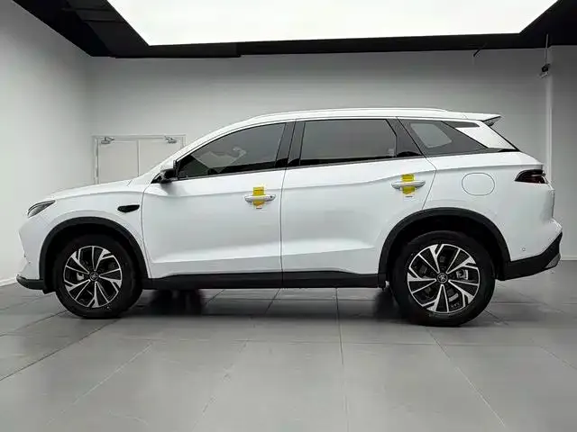BYD Pro New Energy — фото 8