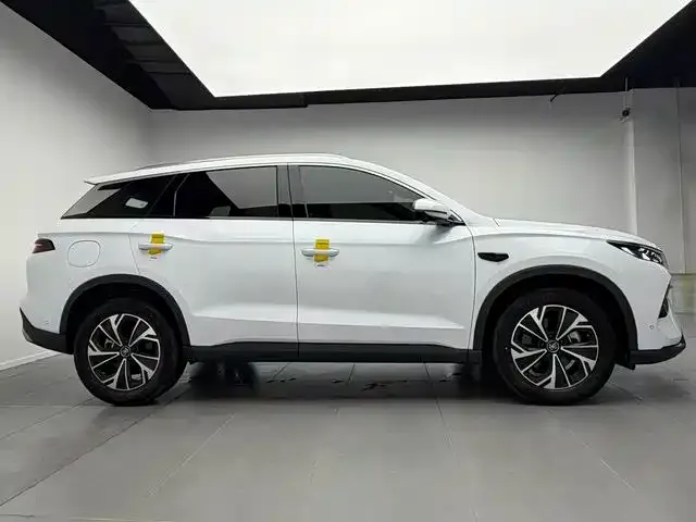 BYD Pro New Energy — фото 7