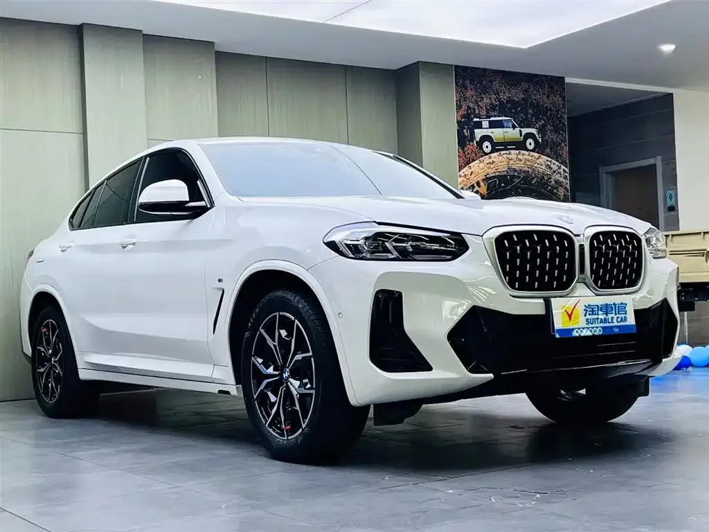 BMW X4 — фото 8