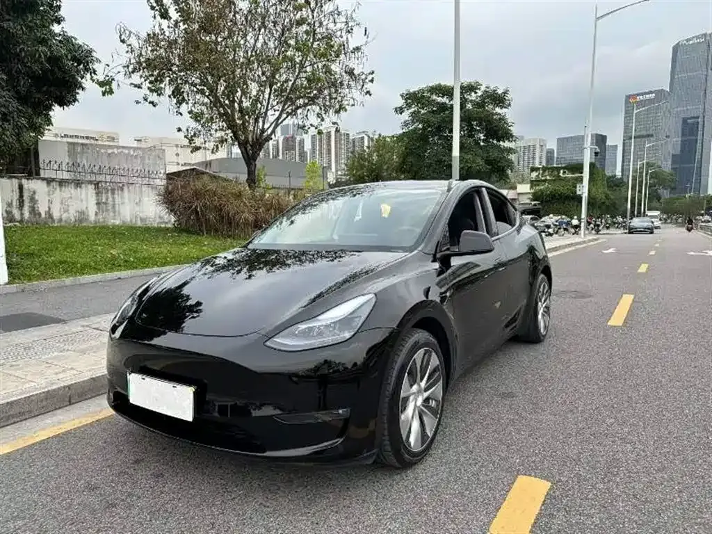 Tesla Model Y — фото 1