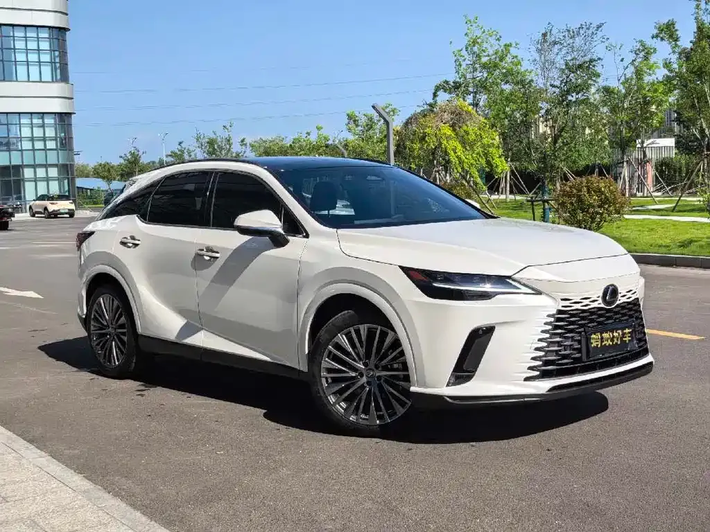 Lexus RX — фото 10