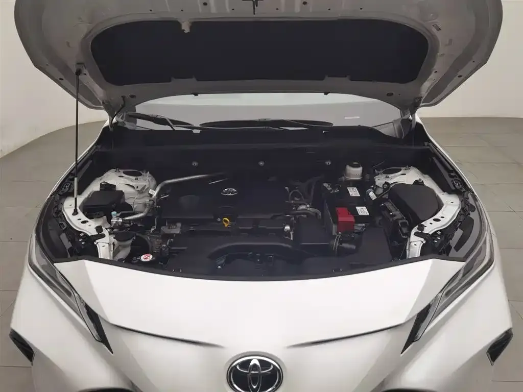 Toyota Venza 2024 из CN, фото 9