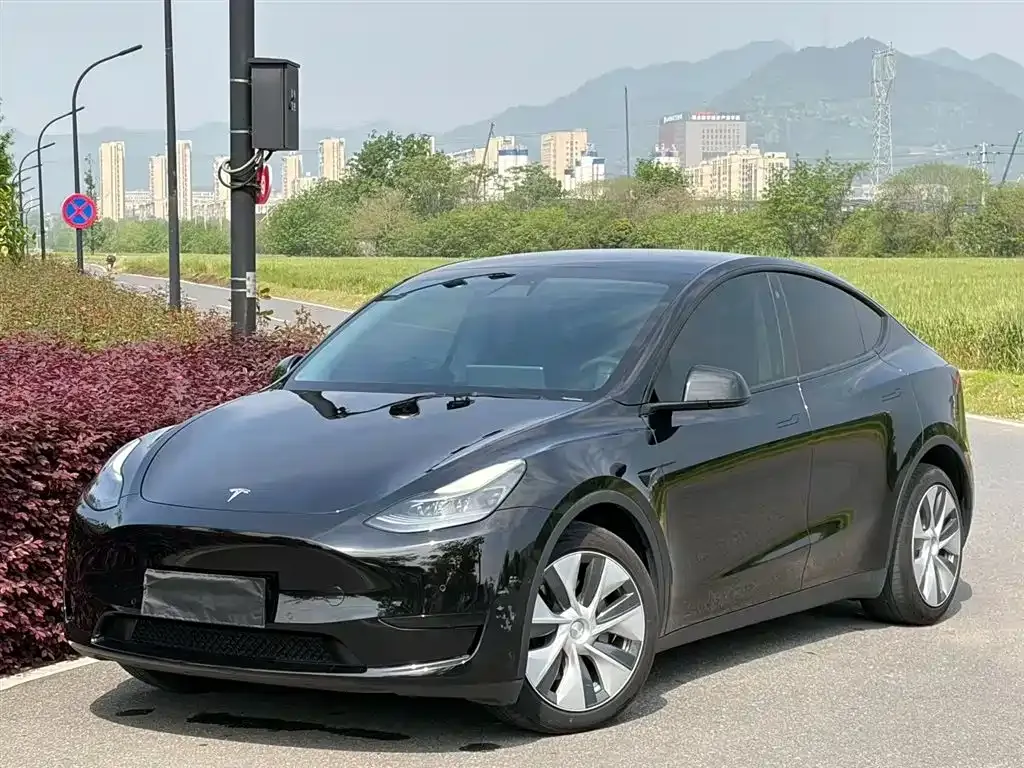 Tesla Model Y — фото 1