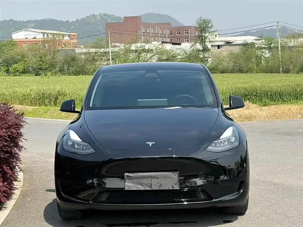 Tesla Model Y — фото 5