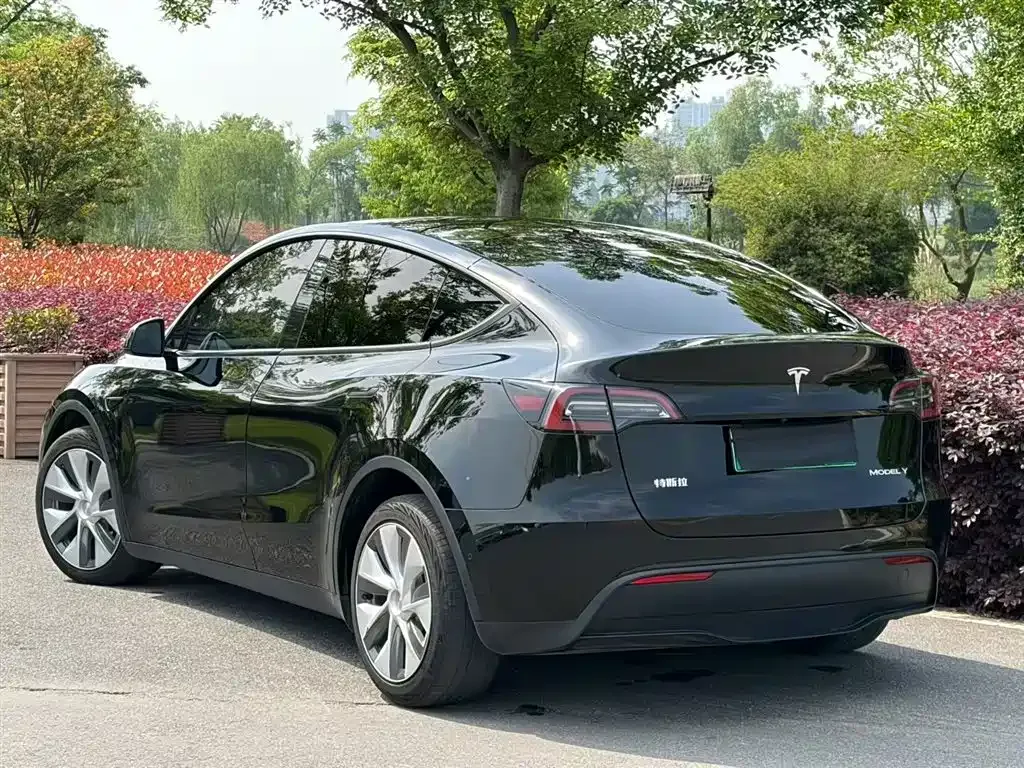 Tesla Model Y — фото 2
