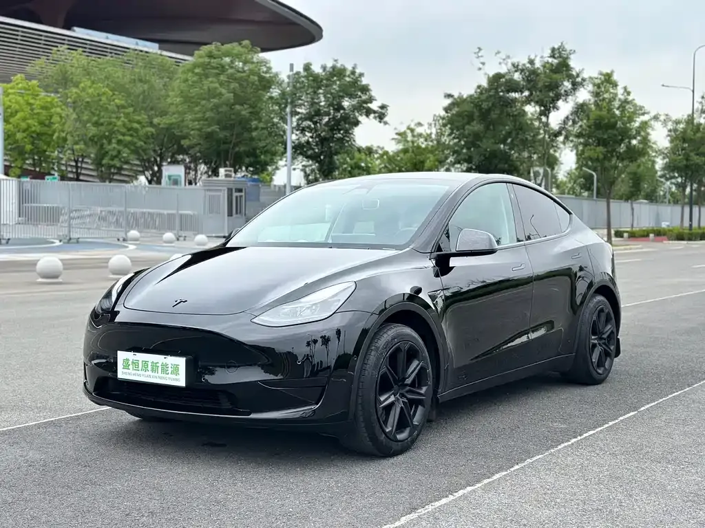Tesla Model Y — фото 1