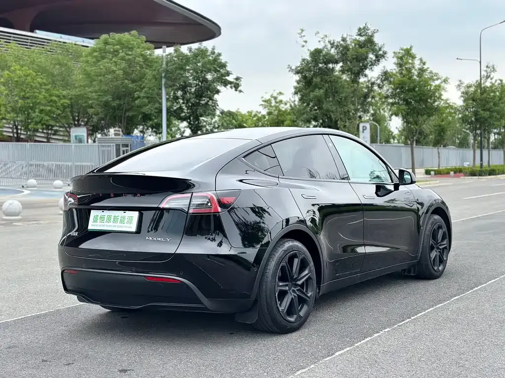 Tesla Model Y — фото 7