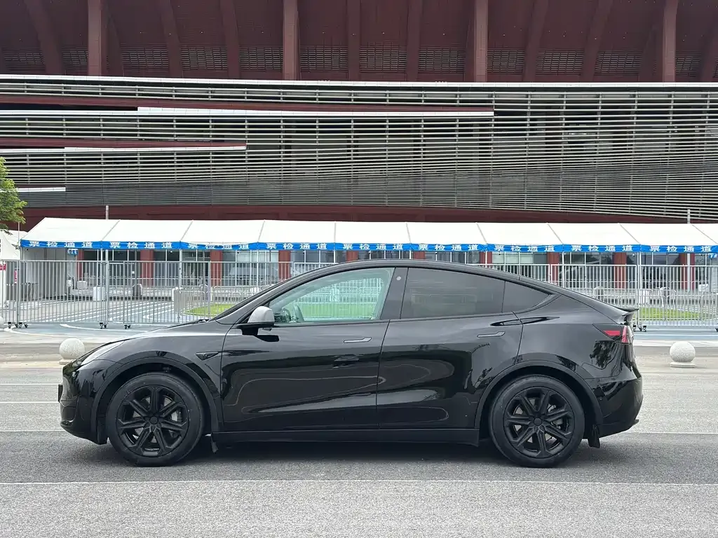 Tesla Model Y — фото 9