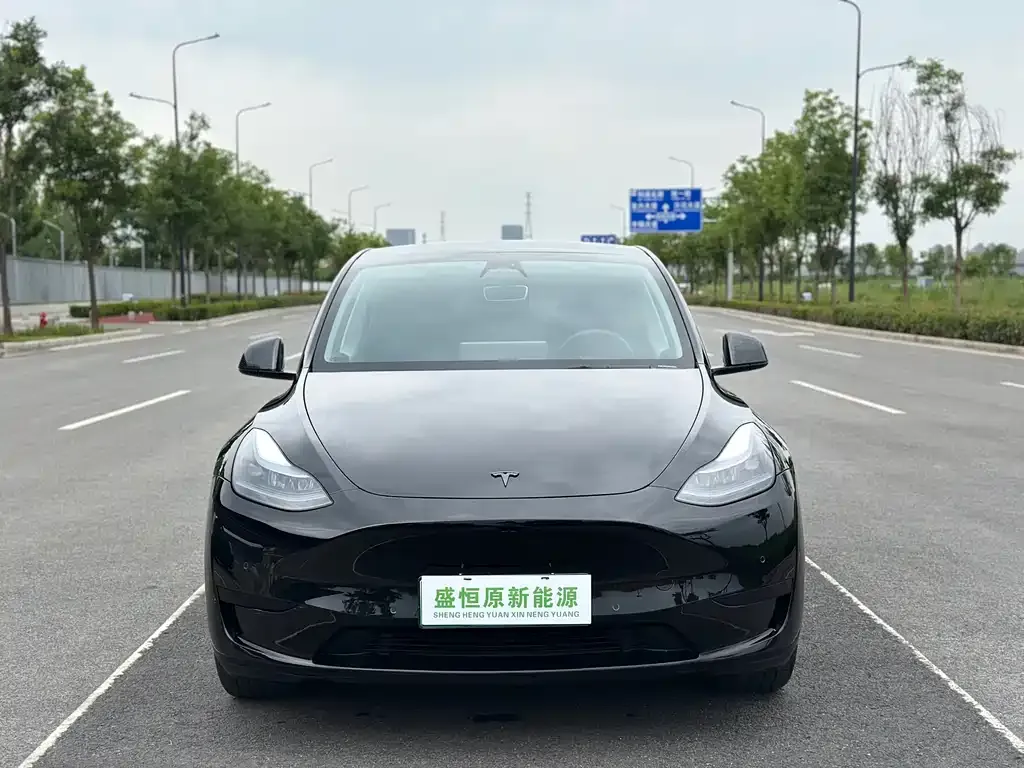 Tesla Model Y — фото 6