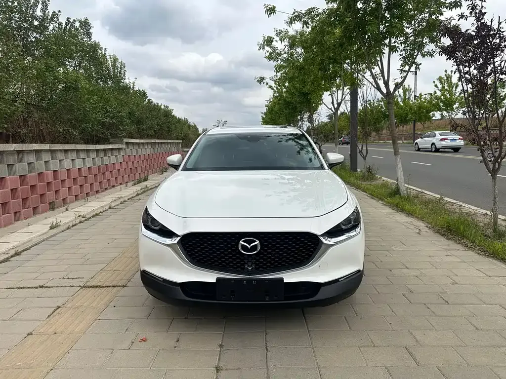 Mazda CX-30 2022 из CN, фото 7