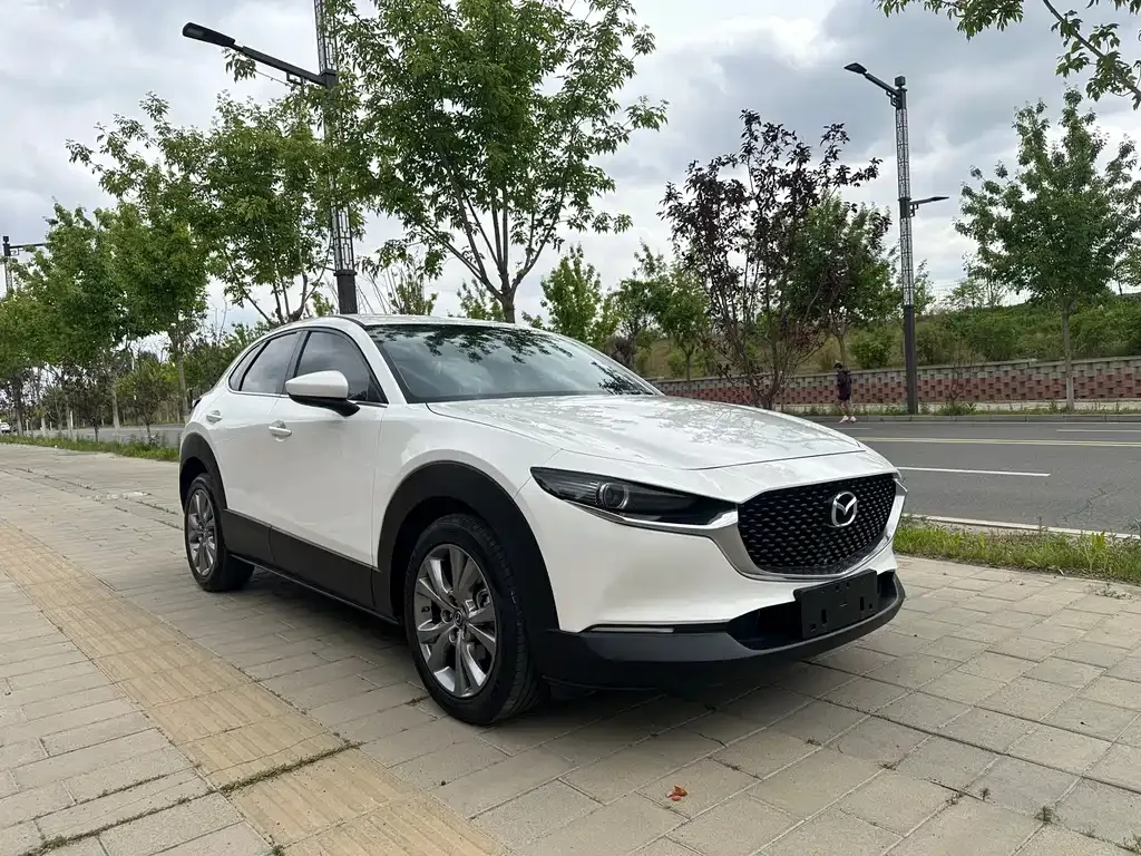 Mazda CX-30 2022 из CN, фото 10