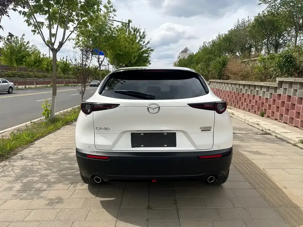 Mazda CX-30 2022 из CN, фото 9
